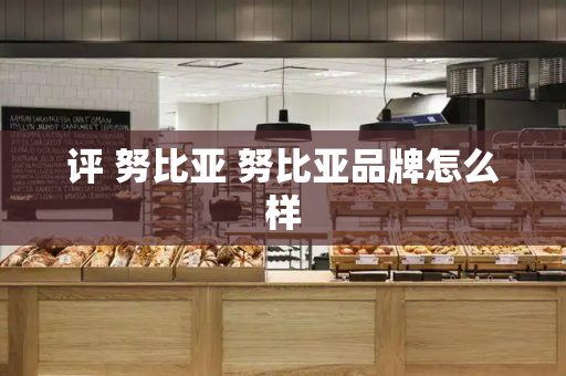 评 努比亚 努比亚品牌怎么样