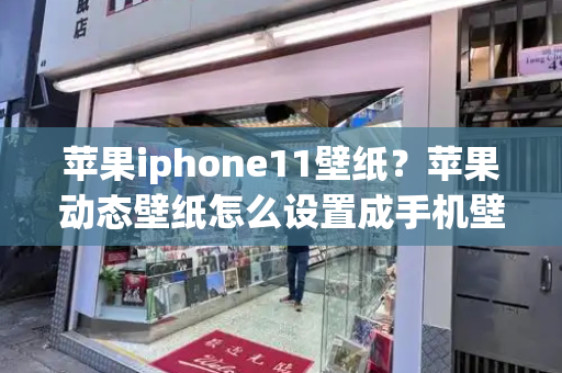 苹果iphone11壁纸？苹果动态壁纸怎么设置成手机壁纸-第1张图片-星选测评