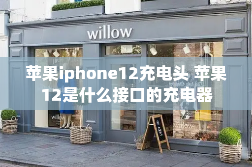 苹果iphone12充电头 苹果12是什么接口的充电器