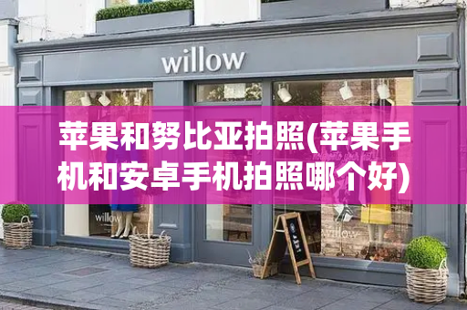 苹果和努比亚拍照(苹果手机和安卓手机拍照哪个好)-第1张图片-星选测评