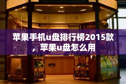 苹果手机u盘排行榜2015款，苹果u盘怎么用