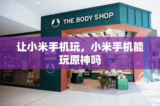 让小米手机玩，小米手机能玩原神吗