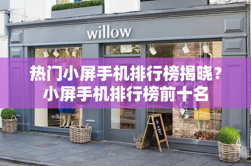 热门小屏手机排行榜揭晓？小屏手机排行榜前十名-第1张图片-星选测评