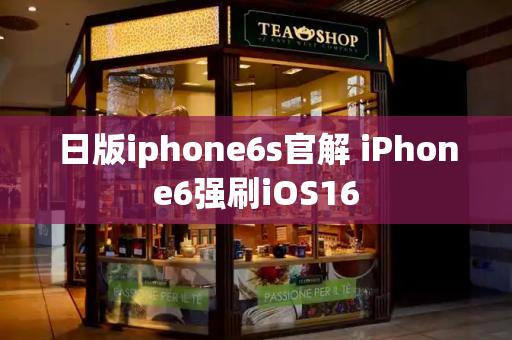 日版iphone6s官解 iPhone6强刷iOS16-第1张图片-星选测评