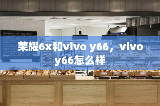 荣耀6x和vivo y66，vivoy66怎么样