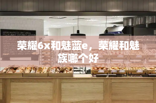 荣耀6x和魅蓝e，荣耀和魅族哪个好-第1张图片-星选测评