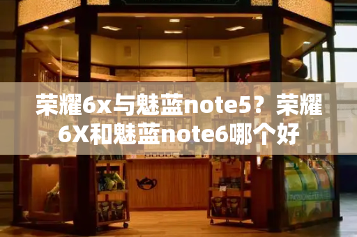 荣耀6x与魅蓝note5？荣耀6X和魅蓝note6哪个好