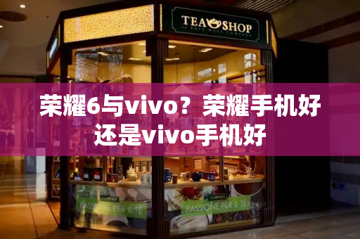 荣耀6与vivo？荣耀手机好还是vivo手机好