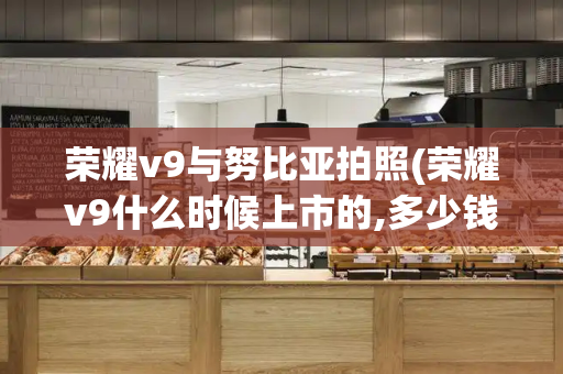 荣耀v9与努比亚拍照(荣耀v9什么时候上市的,多少钱)-第1张图片-星选测评