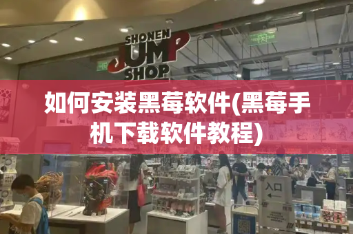 如何安装黑莓软件(黑莓手机下载软件教程)