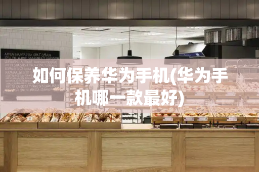 如何保养华为手机(华为手机哪一款最好)-第1张图片-星选测评