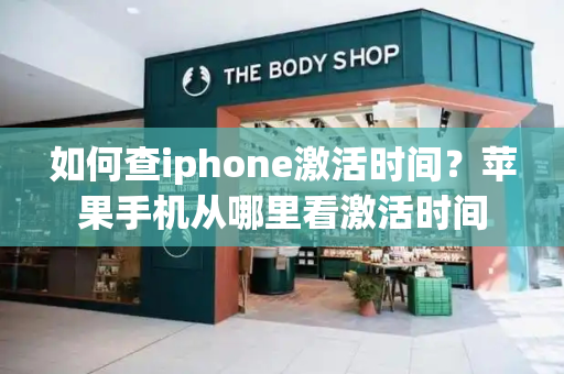 如何查iphone激活时间？苹果手机从哪里看激活时间-第1张图片-星选测评