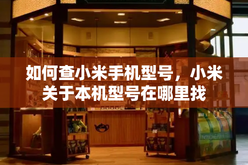 如何查小米手机型号，小米关于本机型号在哪里找-第1张图片-星选测评