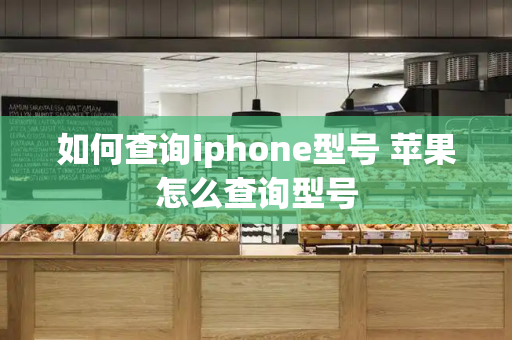 如何查询iphone型号 苹果怎么查询型号-第1张图片-星选测评