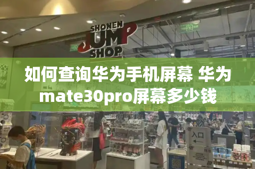 如何查询华为手机屏幕 华为mate30pro屏幕多少钱-第1张图片-星选测评