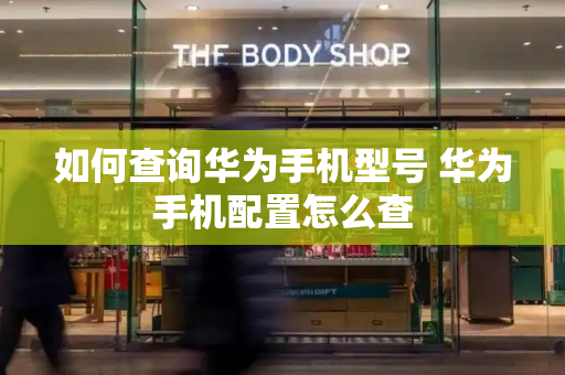 如何查询华为手机型号 华为手机配置怎么查-第1张图片-星选测评