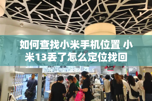如何查找小米手机位置 小米13丢了怎么定位找回-第1张图片-星选测评