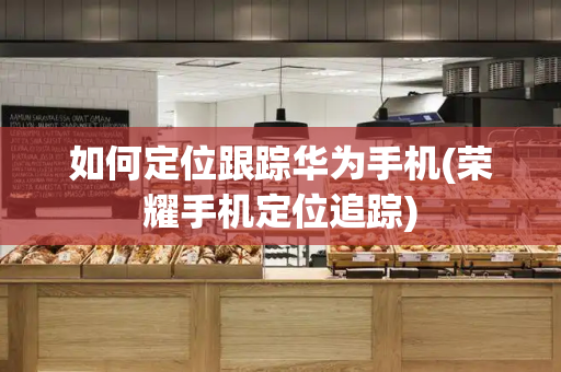 如何定位跟踪华为手机(荣耀手机定位追踪)-第1张图片-星选测评