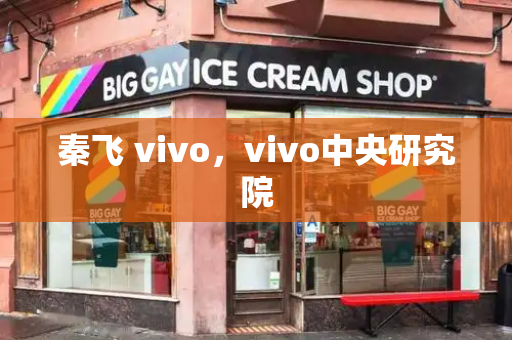 秦飞 vivo，vivo中央研究院-第1张图片-星选测评