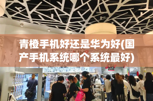 青橙手机好还是华为好(国产手机系统哪个系统最好)-第1张图片-星选测评