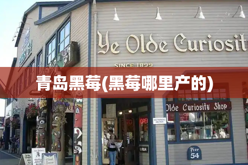 青岛黑莓(黑莓哪里产的)