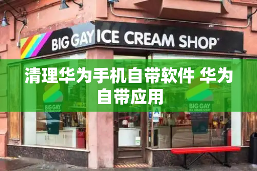 清理华为手机自带软件 华为自带应用