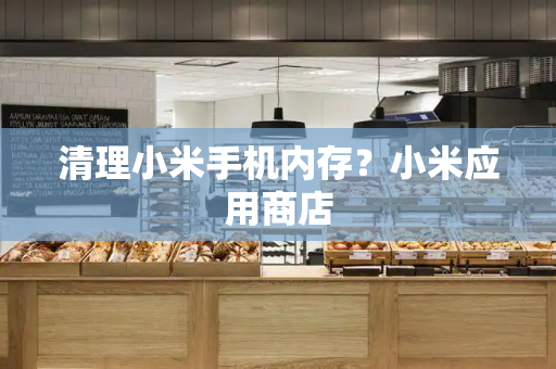 清理小米手机内存？小米应用商店-第1张图片-星选测评