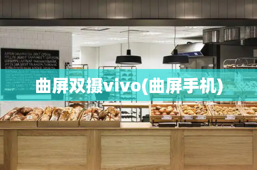 曲屏双摄vivo(曲屏手机)-第1张图片-星选测评