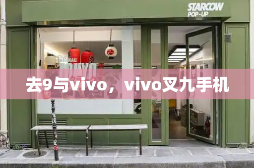 去9与vivo，vivo叉九手机-第1张图片-星选测评
