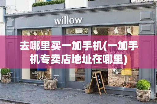 去哪里买一加手机(一加手机专卖店地址在哪里)-第1张图片-星选测评