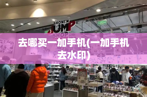 去哪买一加手机(一加手机去水印)-第1张图片-星选测评