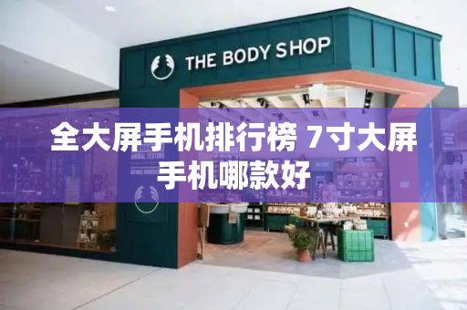全大屏手机排行榜 7寸大屏手机哪款好