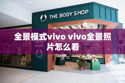全景模式vivo vivo全景照片怎么看-第1张图片-星选测评