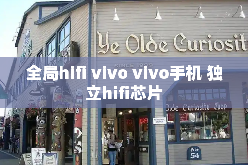 全局hifi vivo vivo手机 独立hifi芯片