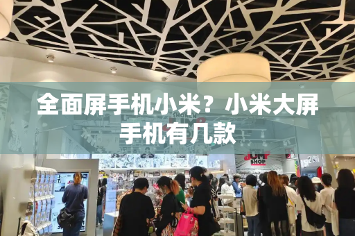 全面屏手机小米？小米大屏手机有几款-第1张图片-星选测评