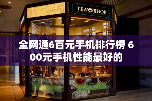 全网通6百元手机排行榜 600元手机性能最好的-第1张图片-星选测评