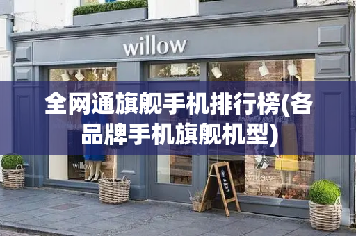 全网通旗舰手机排行榜(各品牌手机旗舰机型)-第1张图片-星选测评