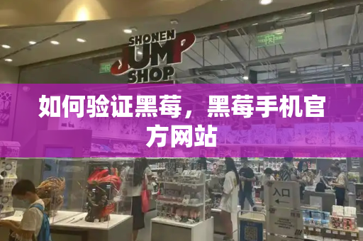 如何验证黑莓，黑莓手机官方网站