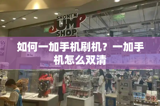 如何一加手机刷机？一加手机怎么双清