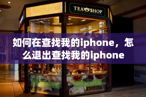 如何在查找我的iphone，怎么退出查找我的iphone-第1张图片-星选测评