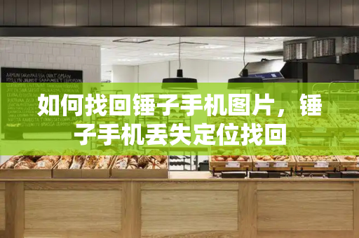 如何找回锤子手机图片，锤子手机丢失定位找回