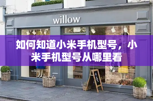 如何知道小米手机型号，小米手机型号从哪里看-第1张图片-星选测评