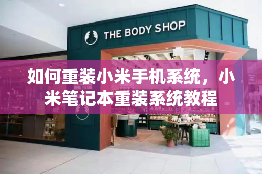 如何重装小米手机系统，小米笔记本重装系统教程-第1张图片-星选测评