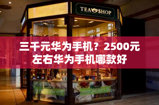 三千元华为手机？2500元左右华为手机哪款好-第1张图片-星选测评