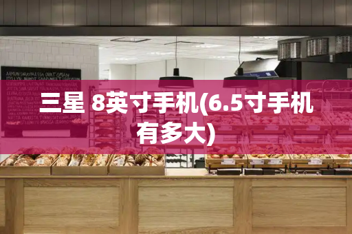 三星 8英寸手机(6.5寸手机有多大)