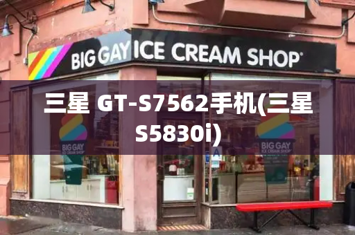 三星 GT-S7562手机(三星S5830i)