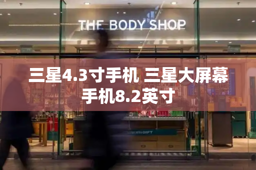 三星4.3寸手机 三星大屏幕手机8.2英寸