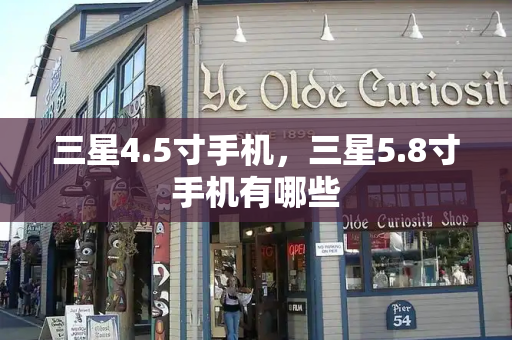 三星4.5寸手机，三星5.8寸手机有哪些-第1张图片-星选测评