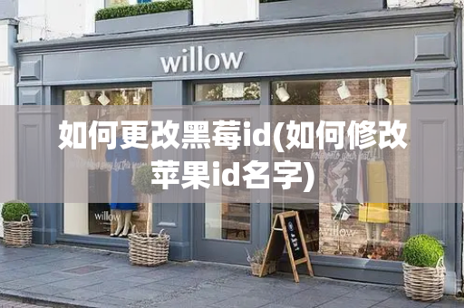 如何更改黑莓id(如何修改苹果id名字)-第1张图片-星选测评
