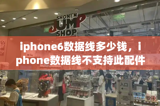 iphone6数据线多少钱，iphone数据线不支持此配件